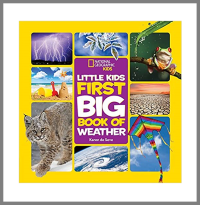Little Kids First Book Of Weather