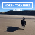 North Yorkhire Beaches