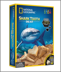 Shark Tooth Dig Kit